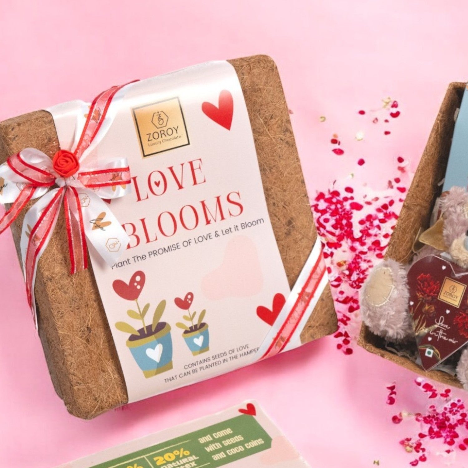 ZOROY Luxury Chocolate Love Blooms Evergreen Growing Love Hamper | Propose day | Kiss day | Teddy Day | Hug Day | Chocolate Day | Promise Day | Girlfriend/ Boyfriend/ Husband/ Wife | Ideal for Valentine Anniversary Birthday