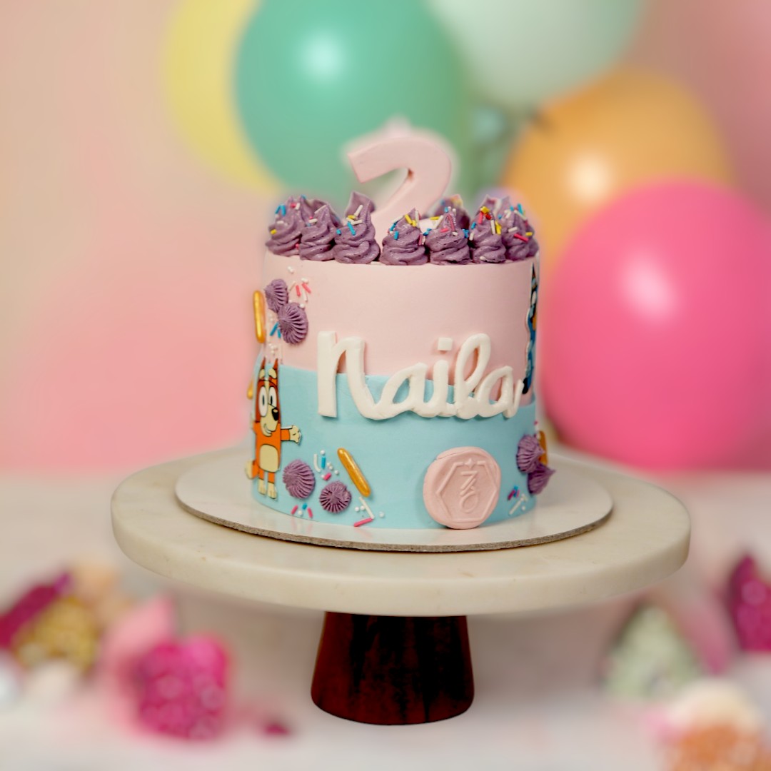 ZOROY Bluey Theme Cake