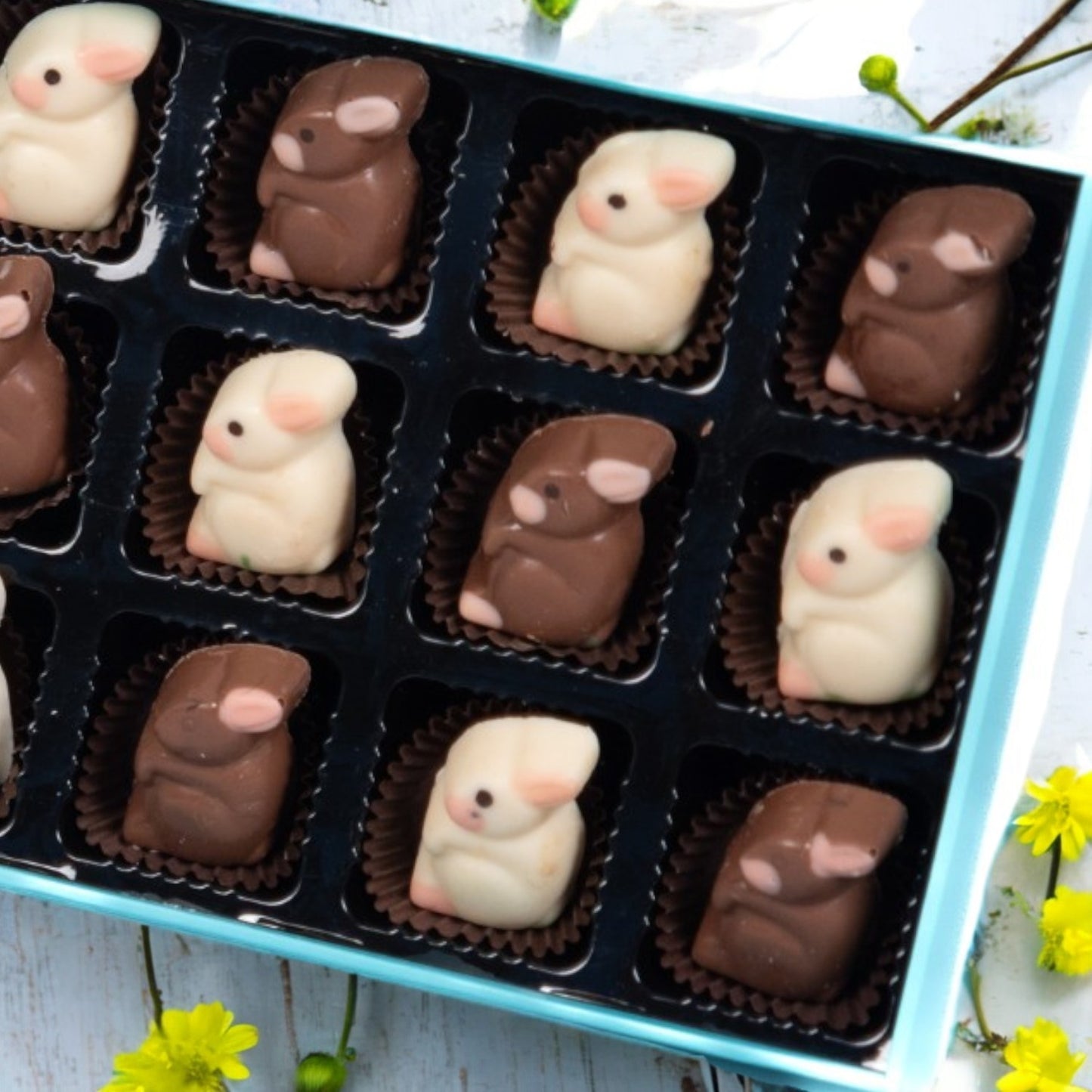 ZOROY Easter Box of 12 bunnies milk chocolate Gift Pack - 132 Gms