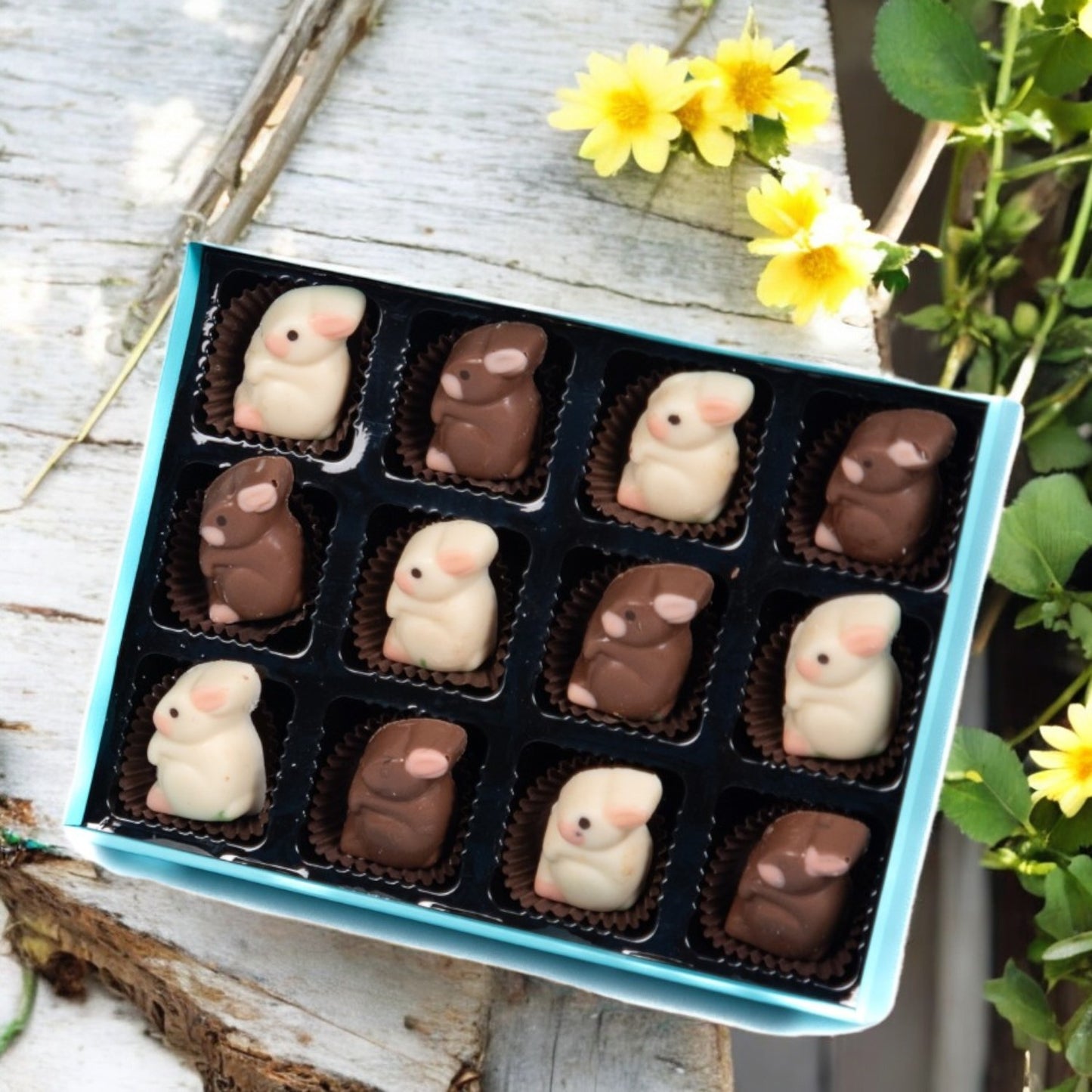 ZOROY Easter Box of 12 bunnies milk chocolate Gift Pack - 132 Gms