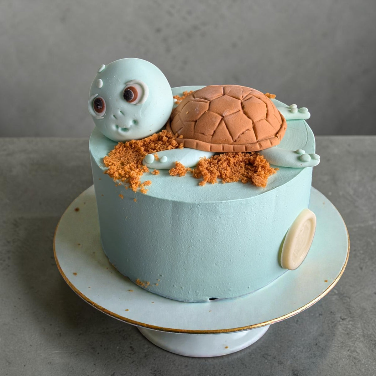 Turtle Theme Cake