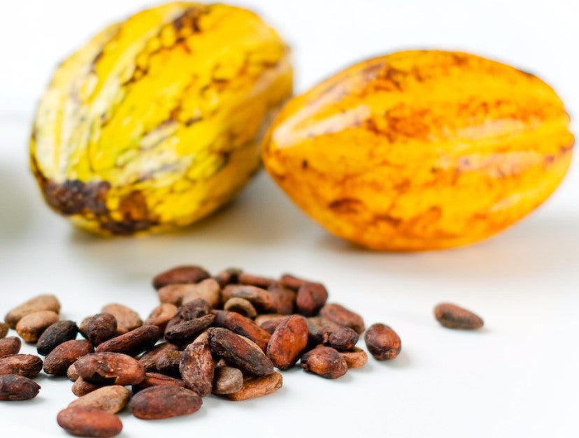 ZOROY Purist Collection Non-Alkalised Natural cacao Powder | Organic Beans | Vegan | Gluten free | High in anti oxidants | Un-sweetened | No colors | No preservatives | 200 gms
